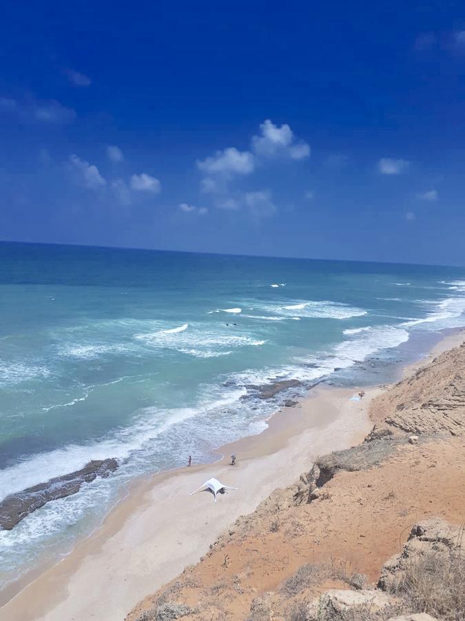 Studio Apartment In Bat-Yam Bat Yam Dış mekan fotoğraf